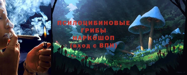 ешки Абинск