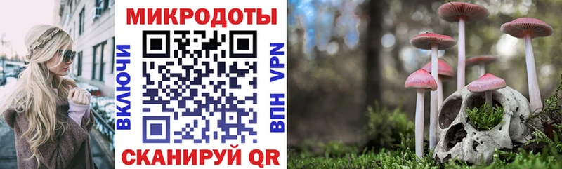 мега ссылка Бийск Галлюциногенные грибы мухоморы